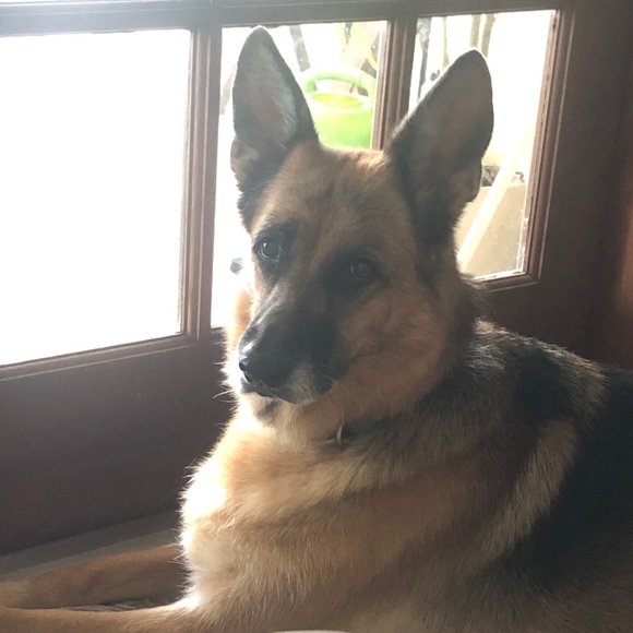 Meet your Posher, Nancy - Picture 2 of 3